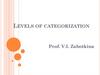Levels of categorization