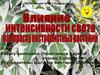 Влияние интенсивности света на окраску пестролистных растений