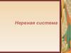 Нервная система. Нервная ткань