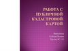 Работа с публичной кадастровой картой