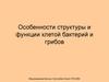 Особенности структуры и функции клеток бактерий и грибов