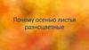 Почему осенью листья разноцветные