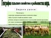 География сельского хозяйства и рыболовства мира