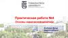 Основы химической кинетики. Практическая работа №4