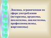 Лексика, ограниченная по сфере употребления (историзмы, архаизмы, неологизмы, диалектизмы, профессионализмы, жаргонизмы)