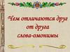 Чем отличаются друг от друга слова-омонимы?