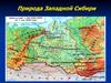 Природа Западной Сибири. Состав экономического района Западная Сибирь