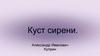 Александр Иванович Куприн "Куст сирени"