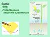 Передвижение веществ в растении  (6 класс)