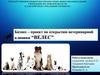 Бизнес-проект по открытию ветеринарной клиники “Велес”