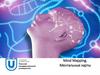 Mind Mapping. Ментальные карты