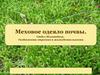 Отдел Моховидные. Особенности строения и жизнедеятельности  (7 класс)
