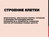 Строение клетки микроскопы. Клеточная теория. Строение и функции органоидов клетки