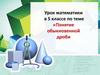 Понятие обыкновенной дроби. Урок в 5 классе