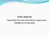 Імерсійна система світлового мікроскопу. Морфологія бактерій