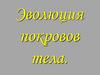 Эволюция покровов тела. Функции покровов