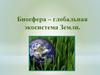 Биосфера - глобальная экосистема Земли