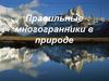 Правильные многогранники в природе. 5 правильных многогранников