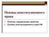 Основы конституционного права. Урок 2