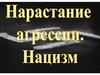 Нарастание агресени. Нацизм