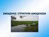 Биоценоз. Структура биоценоза