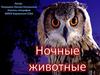 Ночные животные
