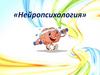 Нейропсихология. Психофизиологическая основа ВПФ