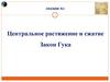 Центральное растяжение и сжатие. Закон Гука  (лекция № 2)