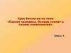Скелет человека. Осевой скелет и скелет конечностей. Урок биологии