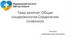 Общая синдесмология. Соединение позвонков