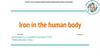 Iron in the human body