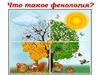 Что такое фенология?