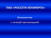 ПАО «Россети Ленэнерго». Знакомство с сетевой организацией