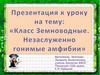 Класс Земноводные. Незаслуженно гонимые амфибии