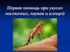 Первая помощь при укусах насекомых, пауков и клещей