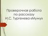 Проверочная работа по рассказу И.С. Тургенева «Муму»