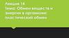 Обмен веществ и энергии в организме: пластический обмен. Лекция 14