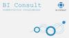 BI Consult. Коммерческое предложение