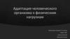 Адаптация человеческого организма к физическим нагрузкам