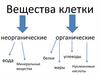 Строение молекулы воды. Вещества клетки