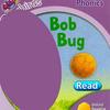 Story Bob Bug