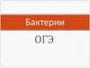 Бактерии. ОГЭ