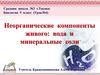 Неорганические компоненты живого: вода и минеральные соли