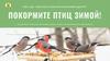 Покормите птиц зимой!