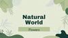 Natural World. Flowers  (grade 8)