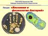 Биохимия и физиология бактерий  (лекция)
