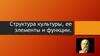 Структура культуры, её элементы и функции