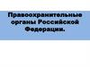 Правоохранительные органы Российской Федерации