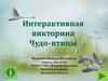 Интерактивная викторина "Чудо-птицы"
