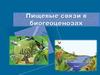 Пищевые связи в биогеоценозах